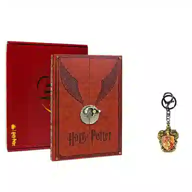 Harry Potter Golden Snitch Notebook