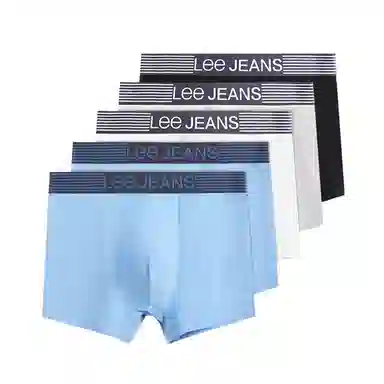 Lee 5