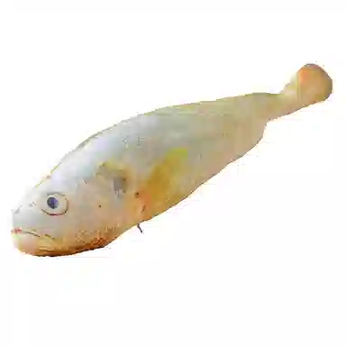 60cm120cm160cm180cm