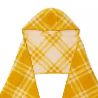 Burberry Shawl