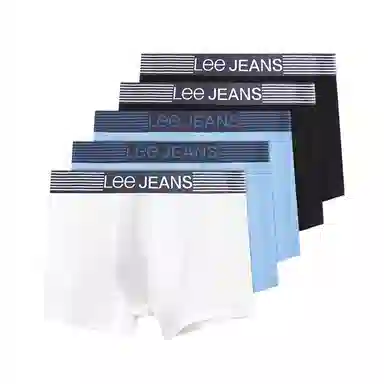 Lee 5