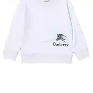 Burberry T
