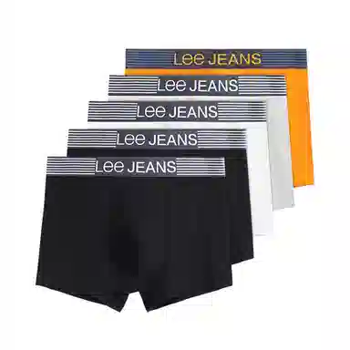 Lee 5