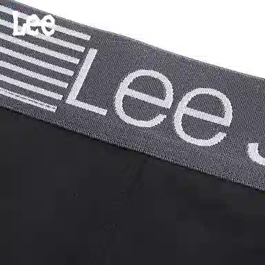Lee 5