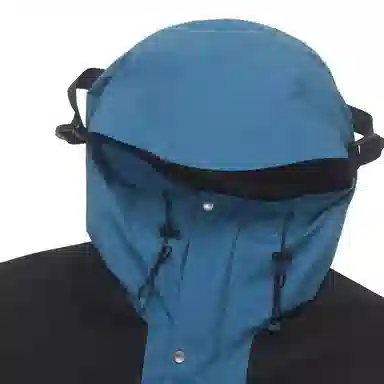 THE NORTH FACE GTX MOUNTAIN JACKET 10Logo