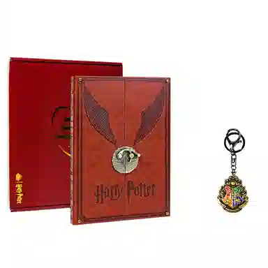 Harry Potter Golden Snitch Notebook