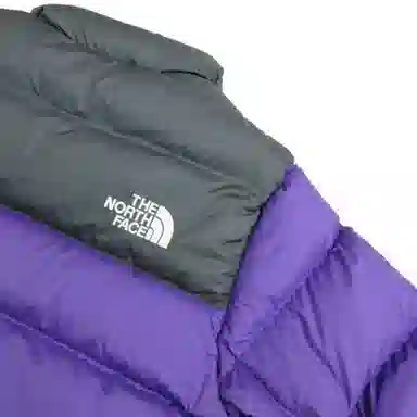 THE NORTH FACE 1992 Nuptse Jacket Tillandsia PrplAsphalt Grey