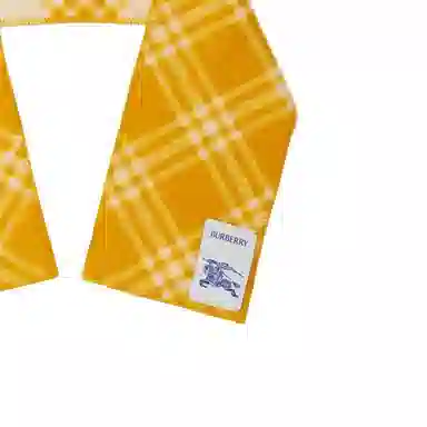 Burberry Shawl