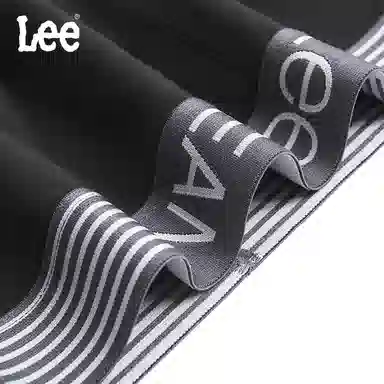 Lee 5