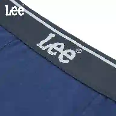 Lee 4.0 5