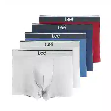 Lee 4.0 5