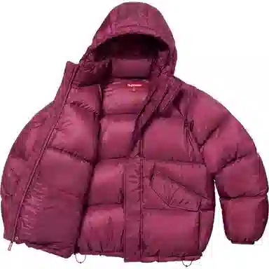 Supreme FW24 700-Fill Down Puffer Jacket