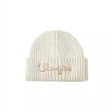 Champion Beanie