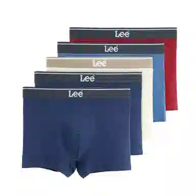 Lee 4.0 5
