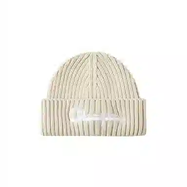 Champion Beanie