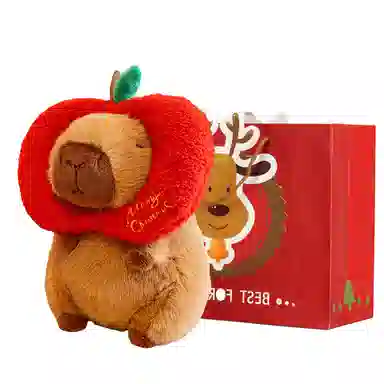 25cm