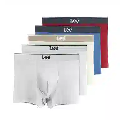 Lee 4.0 5