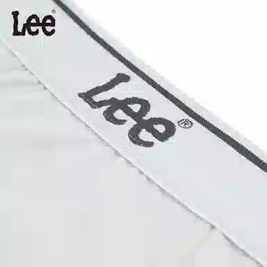 Lee 4.0 5