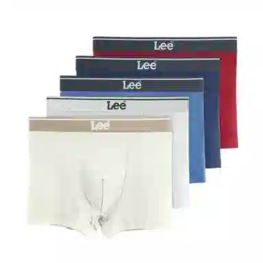 Lee 4.0 5