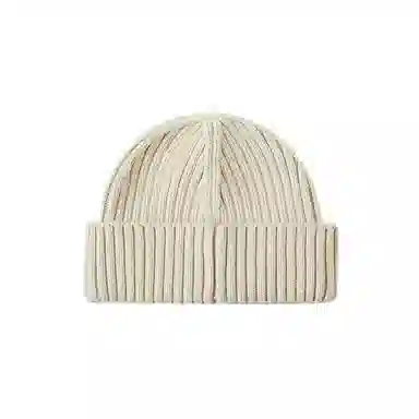 Champion Beanie