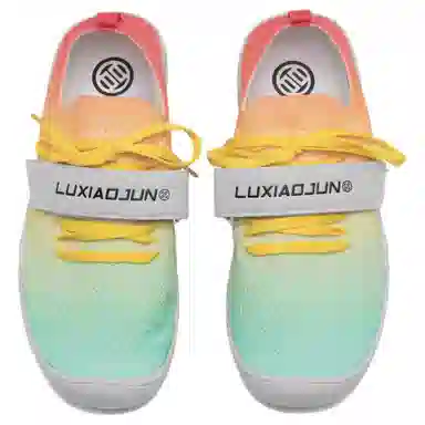 LUXIAOJUN