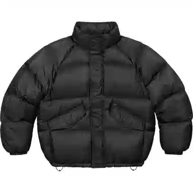 Supreme FW24 700-Fill Down Puffer Jacket