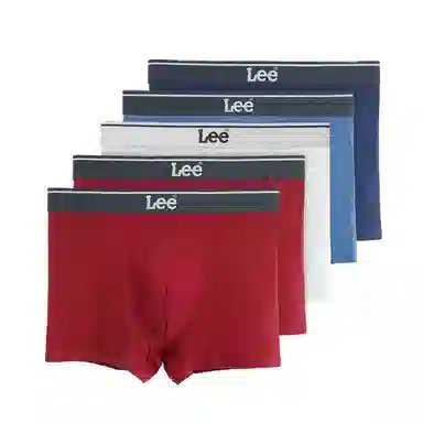 Lee 4.0 5