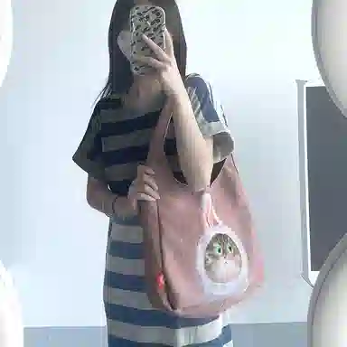 完美款款郭逗逗插画师联名款猫狗系列短绒可爱卡通时尚百搭加侧单肩包