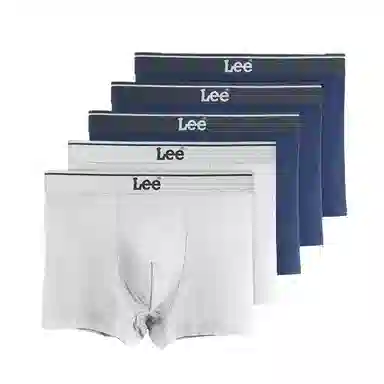 Lee 4.0 5