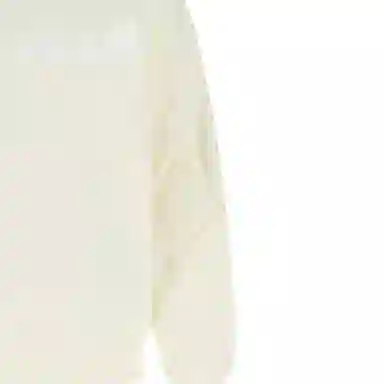 Alexander McQueen FW22 Logo