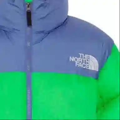 THE NORTH FACE