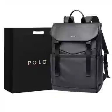 POLO 17.3