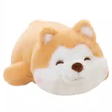 40cm50cm