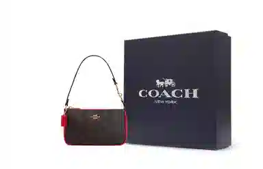 COACH Nolita 19 PVC