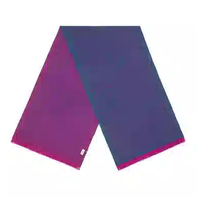 Gucci Classic GG Wool Scarf Pink Blue