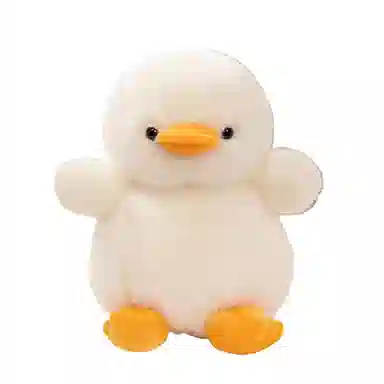 25cm35cm