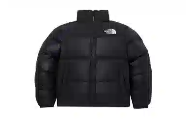 The North Face Nuptse 811