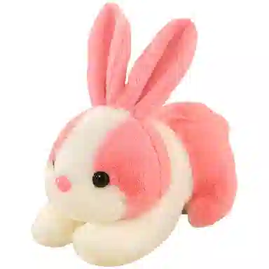 28cm35cm
