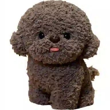 20cm30cm
