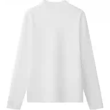 AWAO Logo T