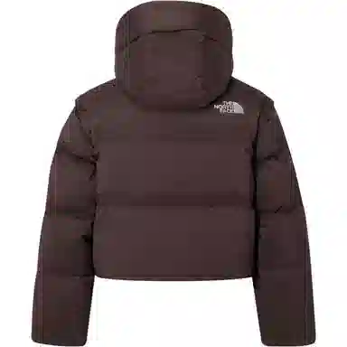 The North Face Novelty Nuptse Brown