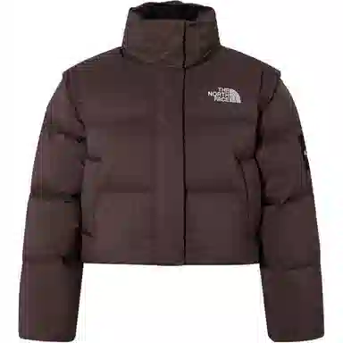 The North Face Novelty Nuptse Brown