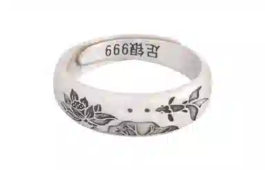 OWNREWARDS 999