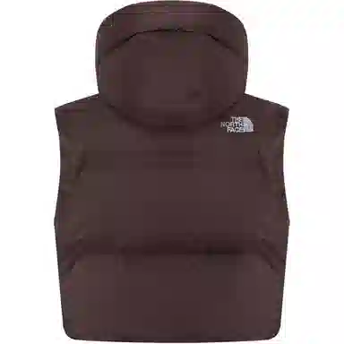 The North Face Novelty Nuptse Brown