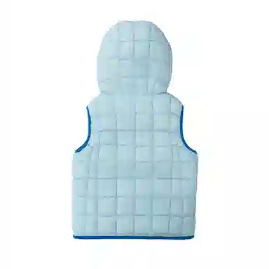 VECTOR Snow universe