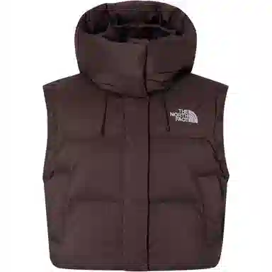 The North Face Novelty Nuptse Brown