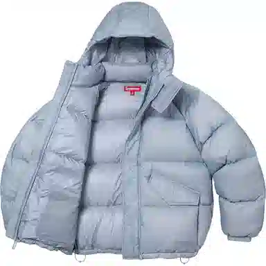 Supreme FW24 700-Fill Down Puffer Jacket