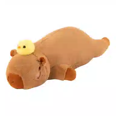 60cm80cm100cm