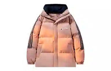 BOBBY ABLEY Logo