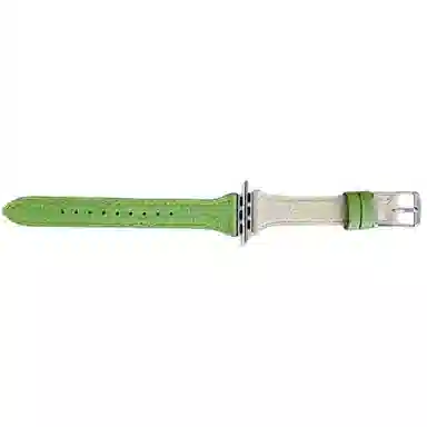 NCFCK Apple watchS9S8SES7S6S5S4S3